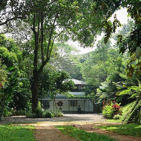 Breezy Point Vila Vagamon Exterior foto